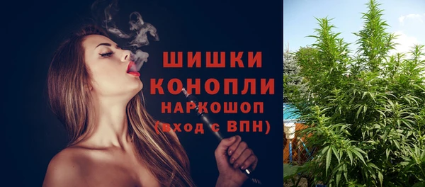 спиды Волосово