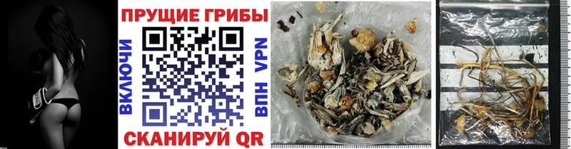 Псилоцибиновые грибы MAGIC MUSHROOMS  кракен вход  Карасук  наркотики 